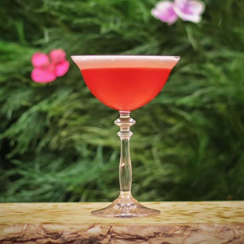 pink lady cocktail