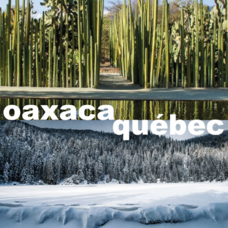 La industria mezcalera se prepara para establecerse en Québec