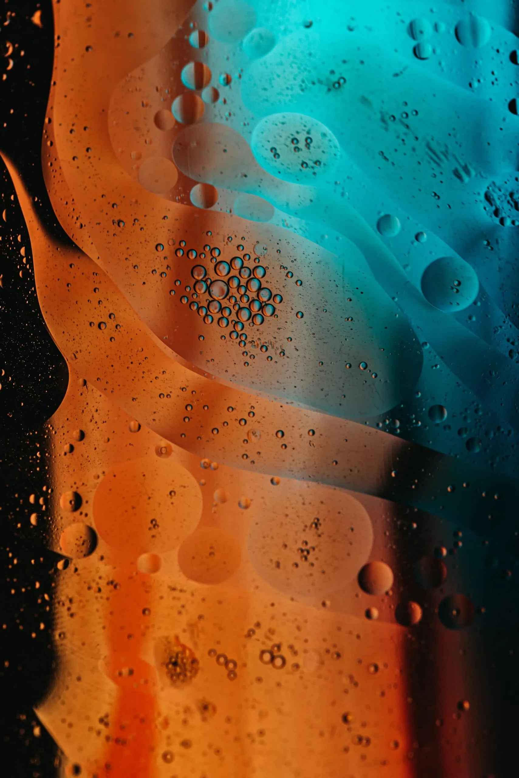 The evolution of bottle designs - botellas y empaque para licores