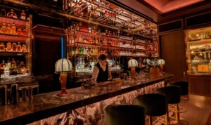 Spirits Hunters' Top 10 Best Cocktail Bars in New York for Fall 2023