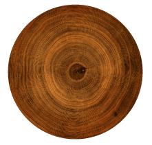 Move over, oak—chestnut, maple, acacia, mizunara, and cherry woods are making their way into whisky barrels.