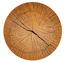 Move over, oak—chestnut, maple, acacia, mizunara, and cherry woods are making their way into whisky barrels.