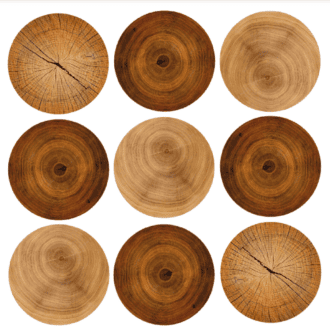 Move over, oak—chestnut, maple, acacia, mizunara, and cherry woods are making their way into whisky barrels.