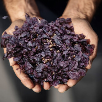 At Grap Sud, nothing is wasted, everything is distilled