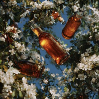 Why Everyone’s Falling in Love with Japanese Beer