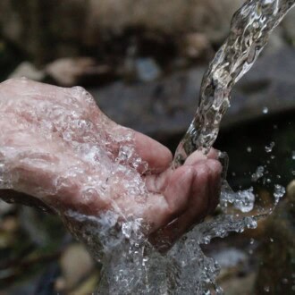 Cherrapunji Gin: A Story of Rain, Roots, Women and Global Recognition