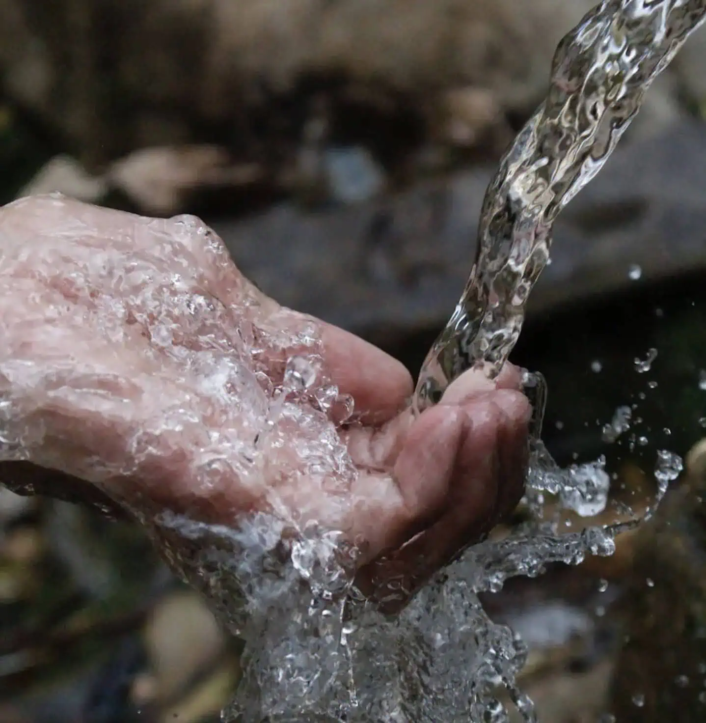 Cherrapunji Gin: A Story of Rain, Roots, Women and Global Recognition
