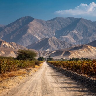 In the Peruvian valleys, pisco is a tradition that distills history